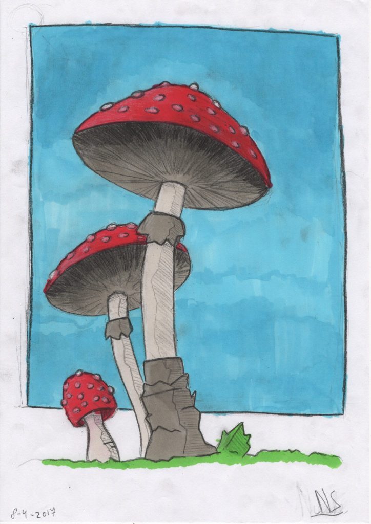 Paddenstoel Tekenacademie tekening